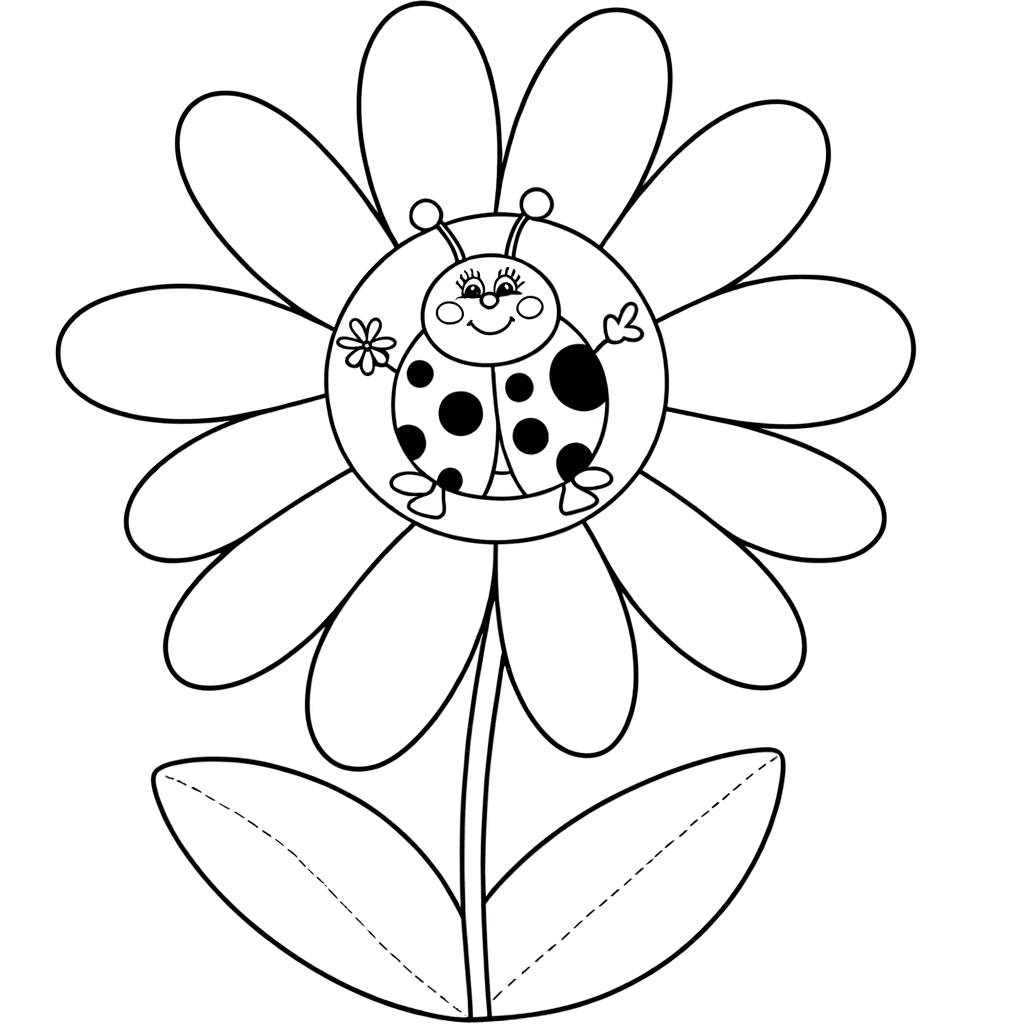 Marienkäfer auf Gänseblümchen Ausmalbild