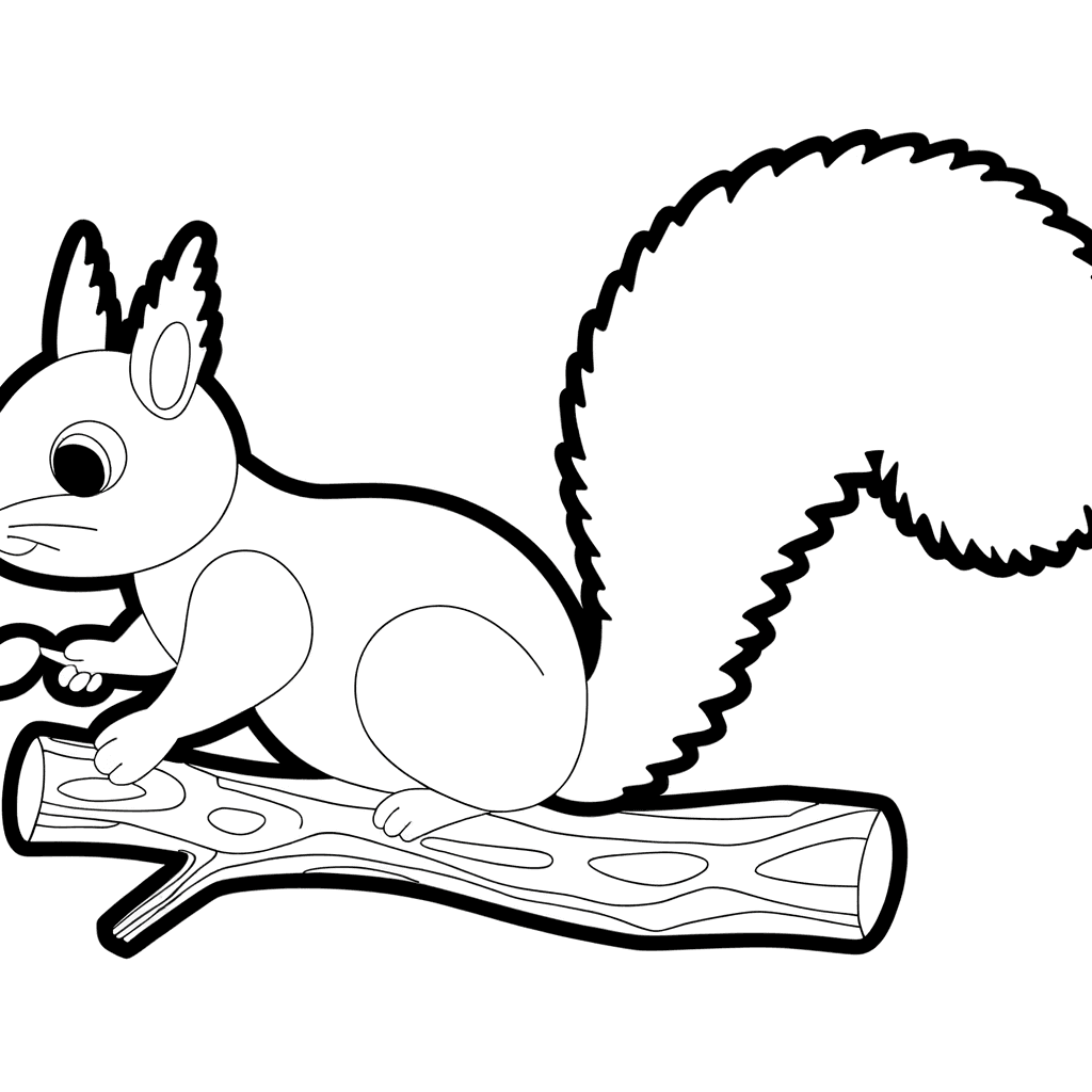 Simple Squirrel on a Branch Coloring Page