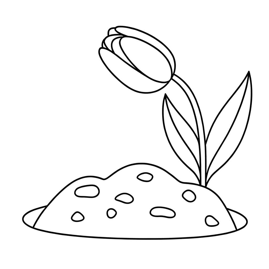 Große Tulpe im Frühling